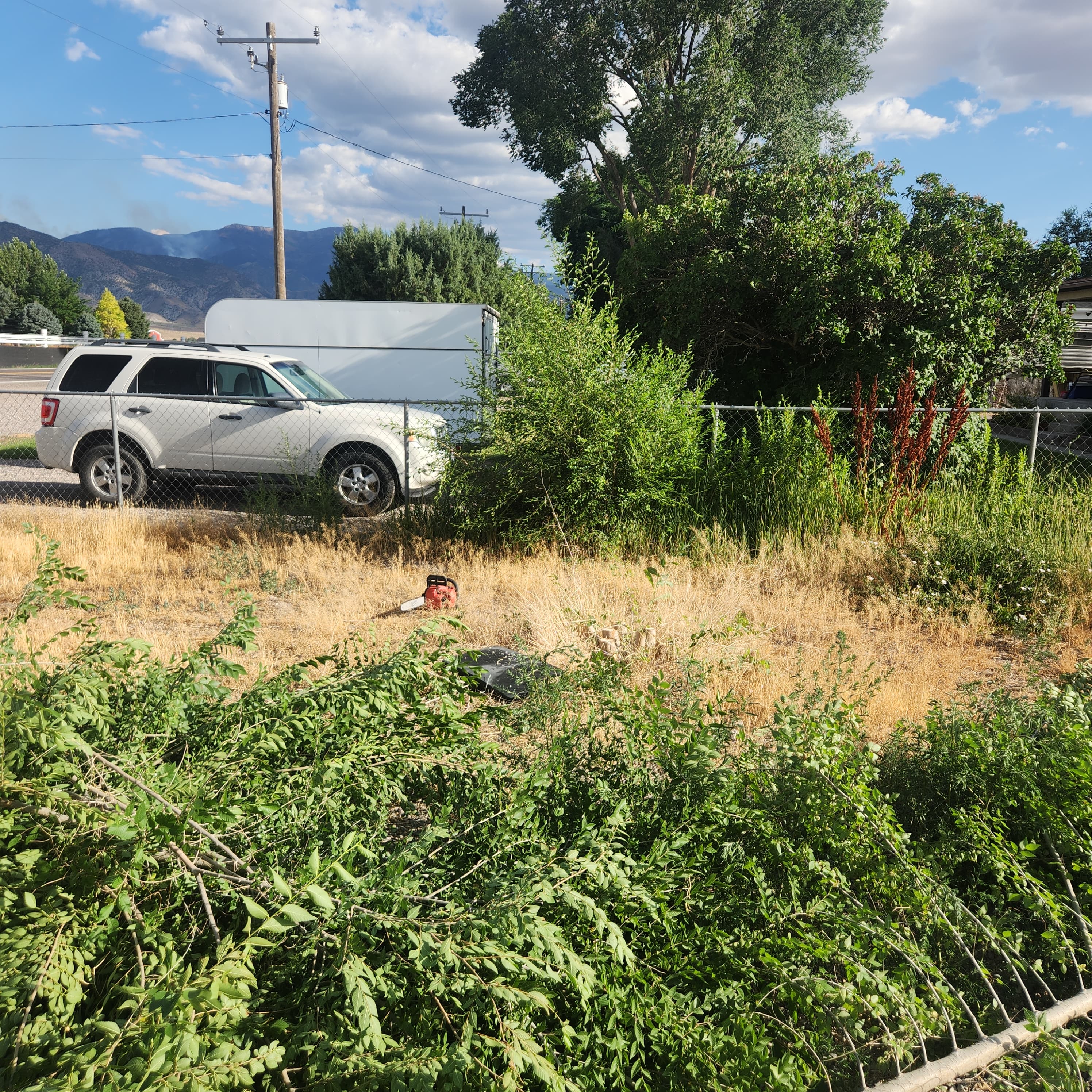 Mid-summer at SUS Farms — production rows in full swing