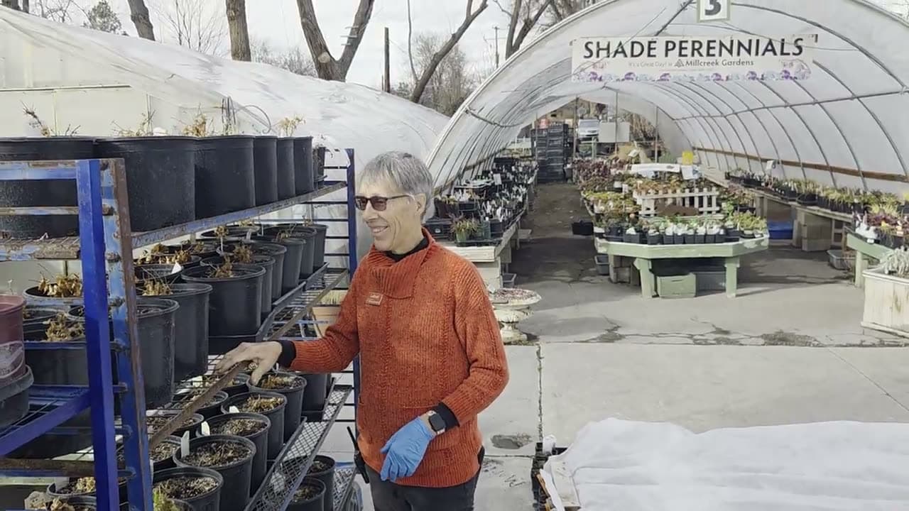 LaRene Smith in the nursery
