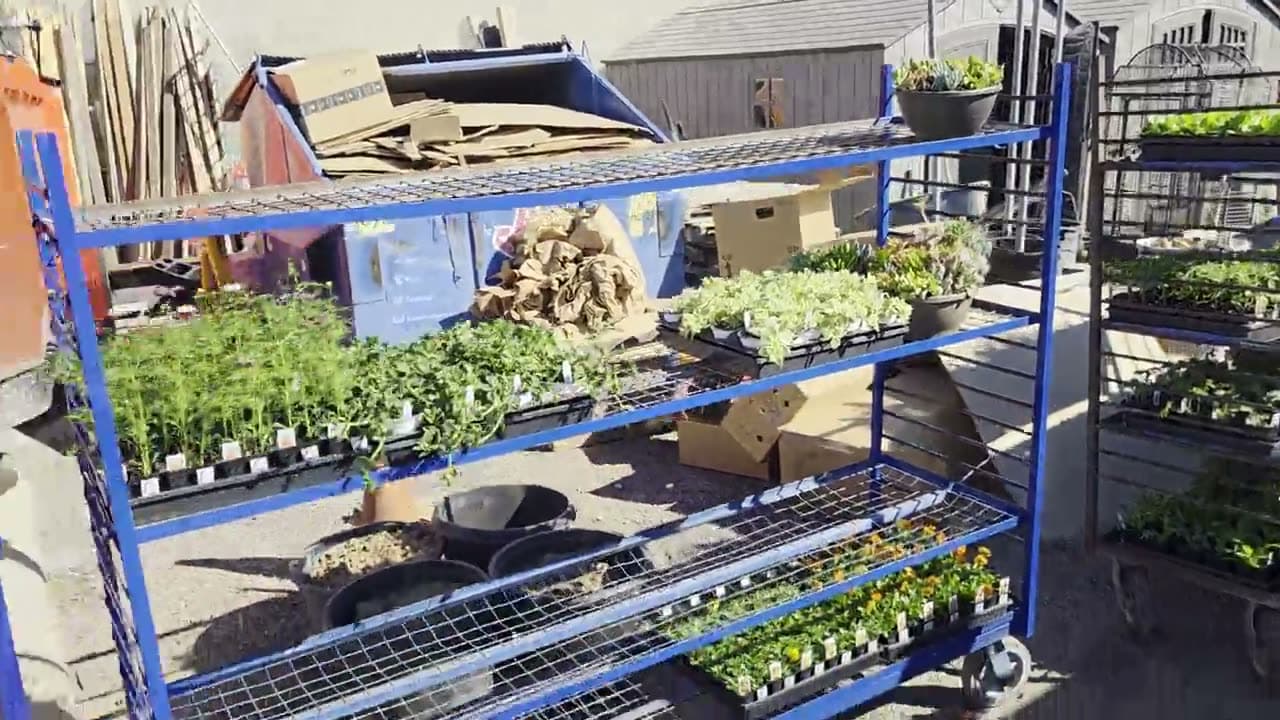 How to Start Seeds Indoors for Utah (Timing, Lights, Hardening Off)